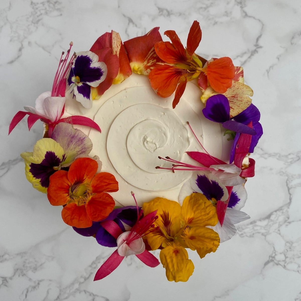 Chocolate cake slice showing peanut butter ganache layers