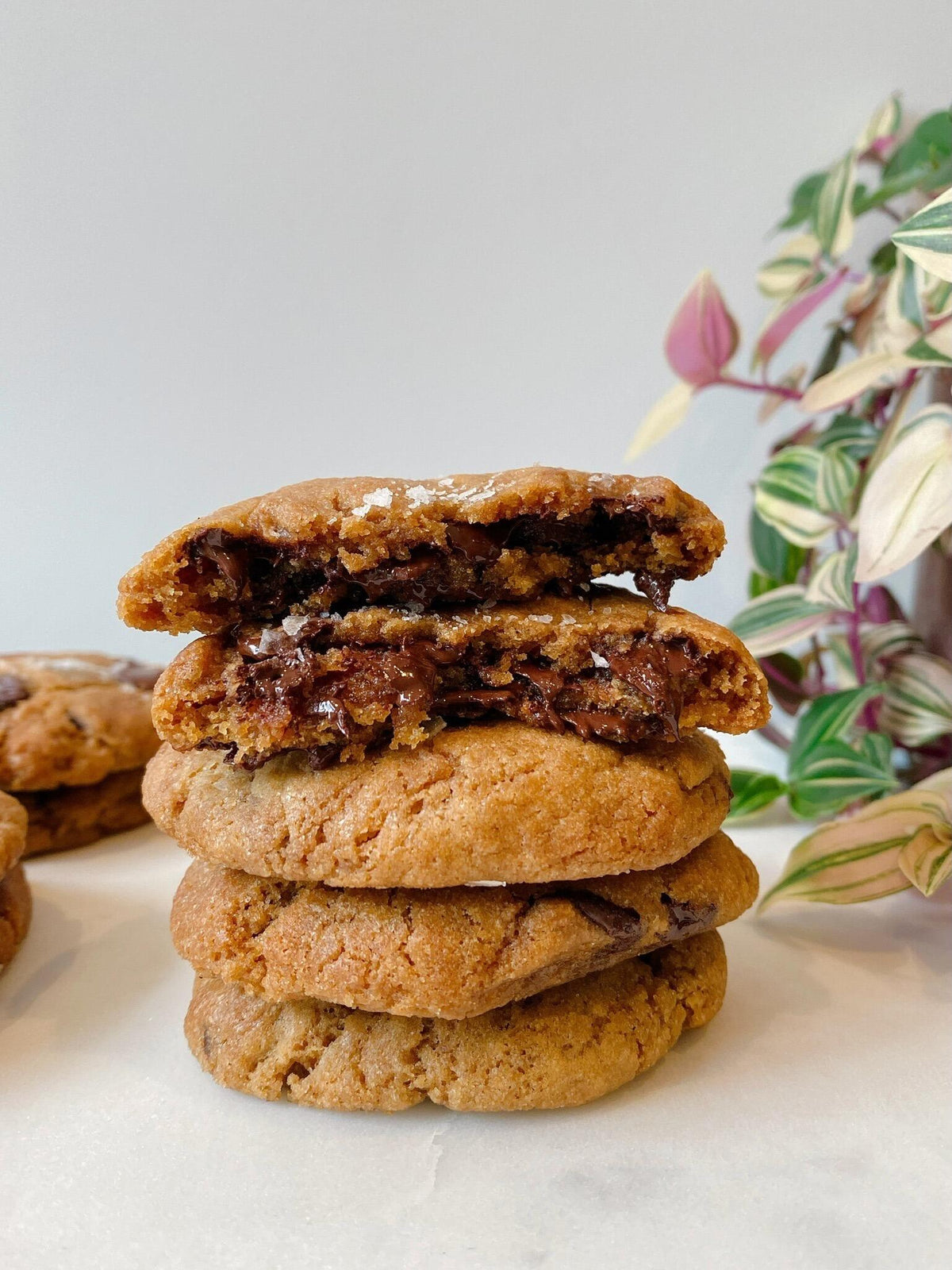 Vegan Chocolate Chip Cookies