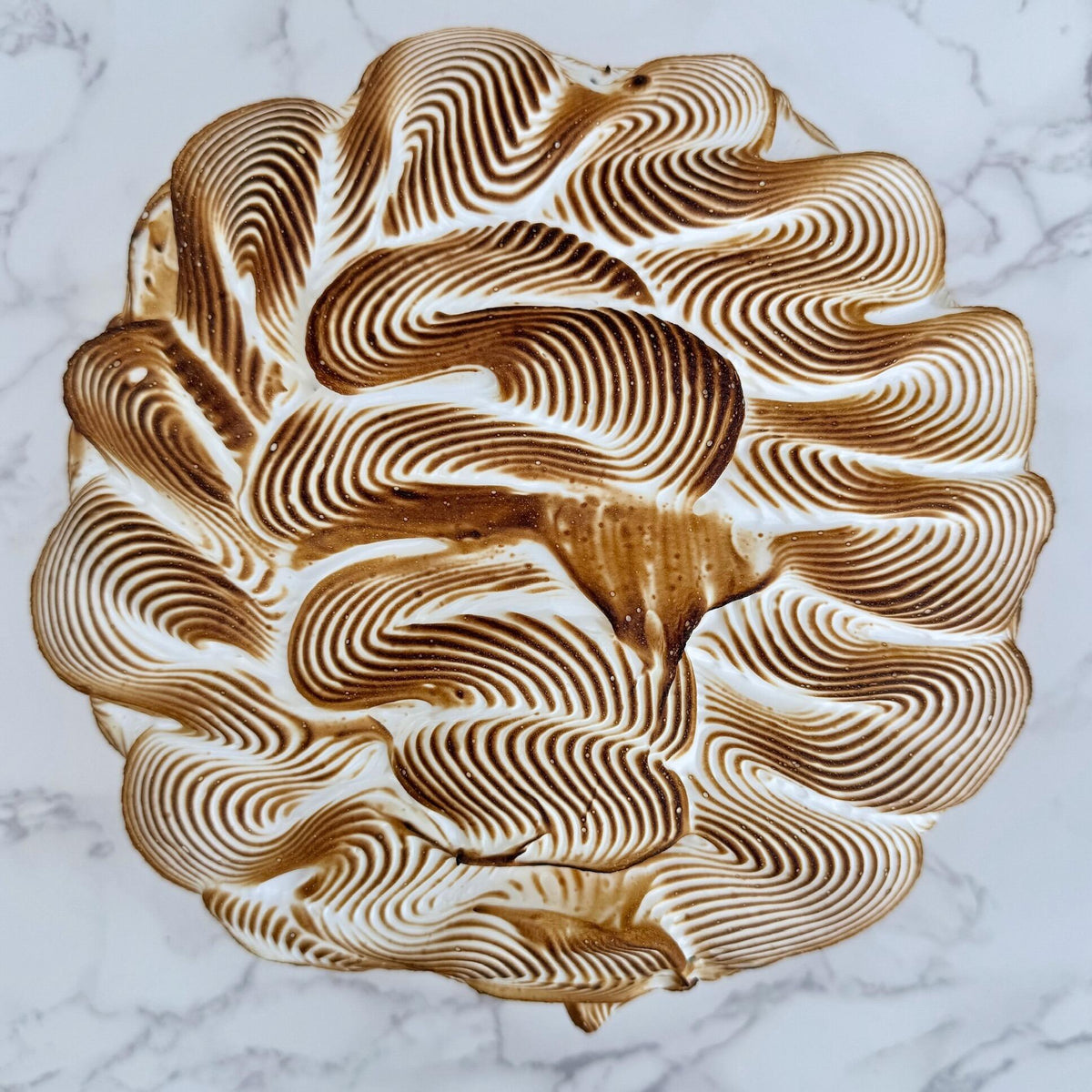 lemon meringue cake with torched top